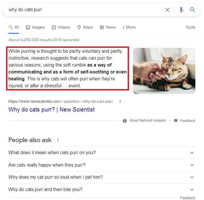 Why do cats purr Why do cats purr